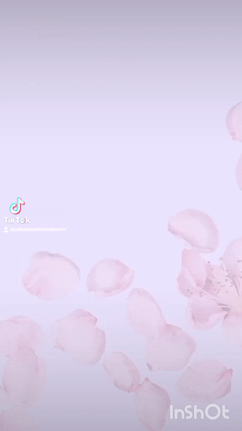 Chiffon Georgette Hijab